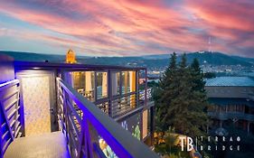 Terra Bridge